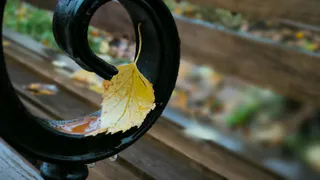 Чувашия готовится к перемене погоды: от сухого понедельника к осадкам во вторник