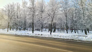 22 декабря в Рязанской области ожидается ледяной дождь и до +2