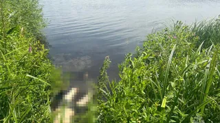 Мать четверых детей утонула в пруду Ядринского района