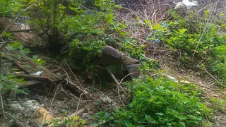 Жалобы нижнекамцев: в поселке Красный Ключ  образовалась свалка 