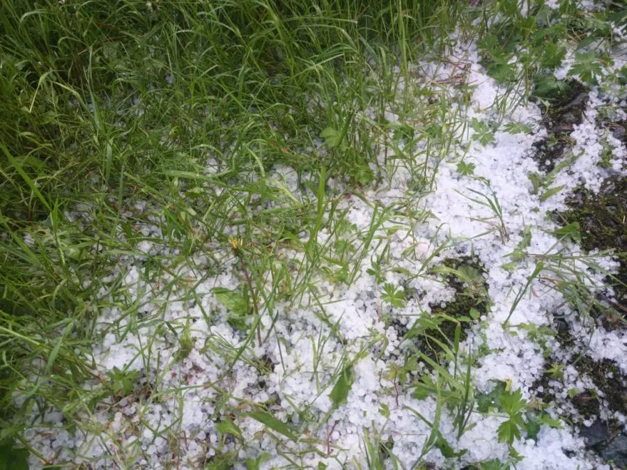 Погода на неделю: лето есть, но очень неустойчивое