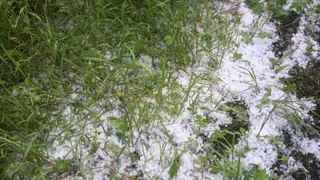 Погода на неделю: лето есть, но очень неустойчивое