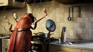 Тараканы «ходят строевым шагом». Как с ними бороться?