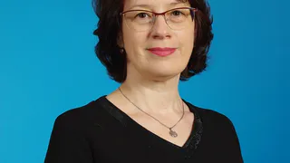 Сыктывкарские родители опасаются электронных дневников