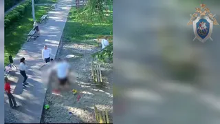 Двум собинским «рэмбо», избившим мужчину в парке, вынесен приговор