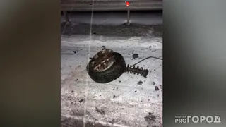 Страшное ДТП под Оренбургом: 7 погибших и 7 раненых