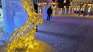 Новогодние праздники переносят из-за ситуации в стране: январские каникулы 2024-2025 больше не будут, как раньше