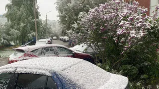 Весной ударят аномальные морозы намного хлеще зимних. Синоптики обновили прогноз на март и апрель        