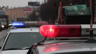 Госавтоинспекция ищет водителя, который сбил и похитил пешехода