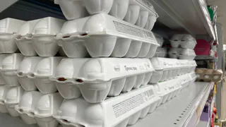 Конвейерные пустышки: в Роскачестве назвали какие марки яиц не прошли проверку