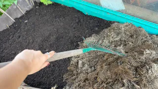 5 ошибок садоводов по весне, которые совершают даже опытные дачники: подходим к сезону-2026 с умом