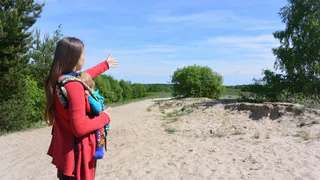 Жители Заборья хотят остановить продажу леса