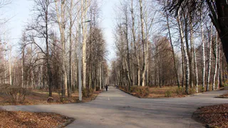 Карабасов отреагировал на жалобы о благоустройстве парка Гагарина