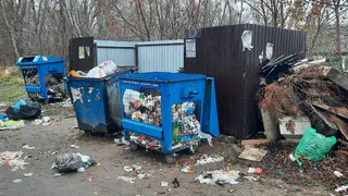 В социальных сетях рассказали о позоре поселка Выгоничи