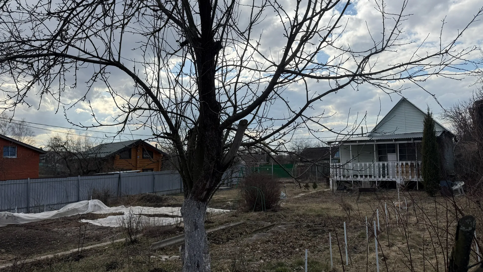 Впервые сделала правильный прикоп для зимовки растений: техника воздушной прослойки - мой огородный хит