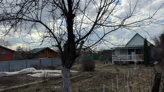 Впервые сделала правильный прикоп для зимовки растений: техника воздушной прослойки - мой огородный хит