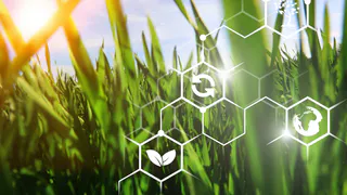 Цифровая экосистема Россельхозбанка для бизнеса: уже 1 млн пользователей