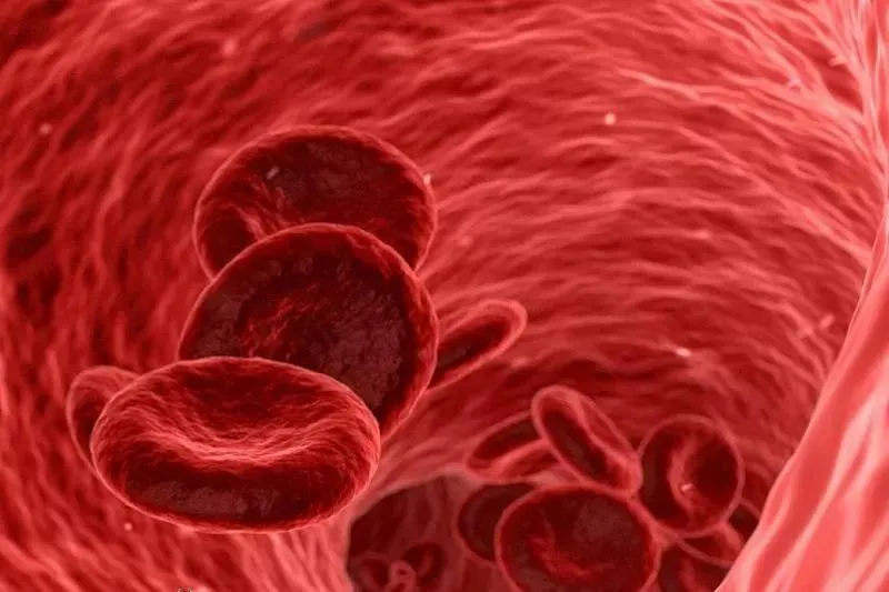 Названы три напитка, которые защитят от тромбоза