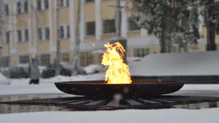 Бастрыкин потребовал отчет по делу чебоксарцев, осквернивших вечный огонь