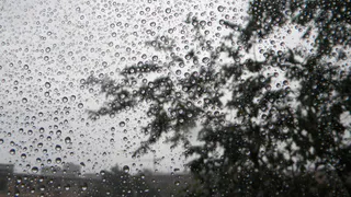 В Рязани 2 октября ожидается дождь и до +18 градусов