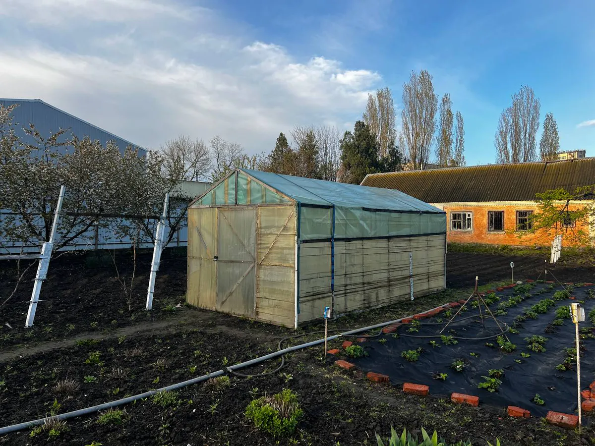 С мая теплицы под запретом: россияне узнали о важном решении, у кого есть дача или участок - новые штрафы