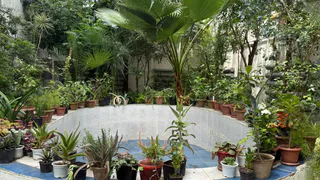 В Пензенской области утвердили список опасных инвазивных растений