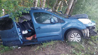 Рязанская полиция установила личность погибшего в ДТП в Клепиковском районе 