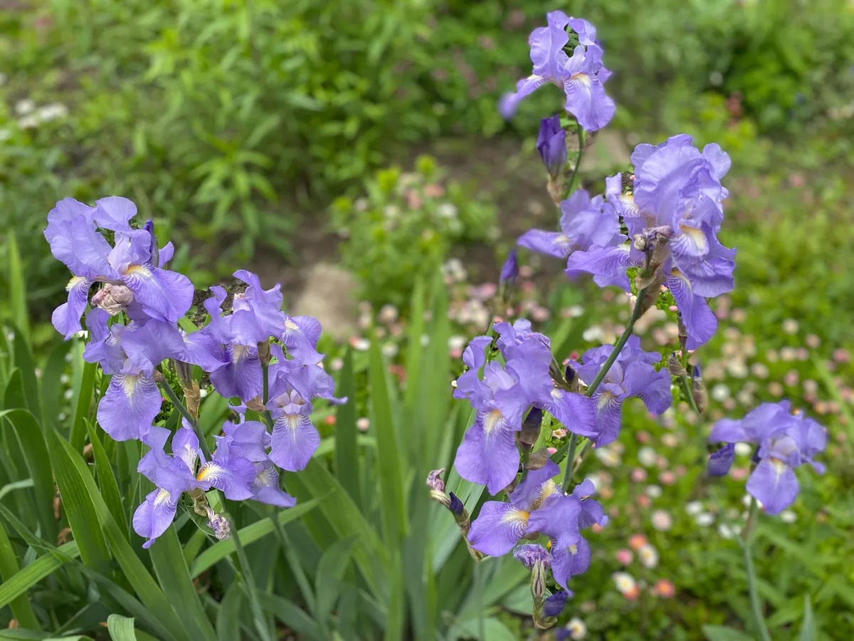 Гороскоп на 23 июня: не зацикливаться на прошлых неудачах и быть осторожнее с новыми предложениями