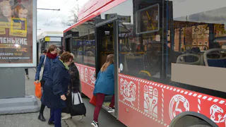 Рязанские службы перешли в режим повышенной готовности на "ковикулы"