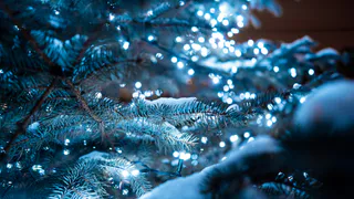 В Пензе новогоднюю ёлку демонтировали за 703650 рублей