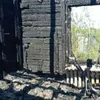 Добровольцы помогли тушить крупный пожар в Коми