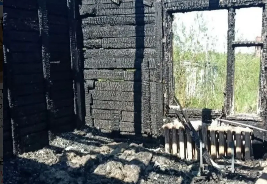 Добровольцы помогли тушить крупный пожар в Коми