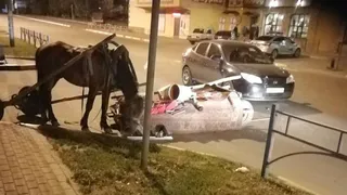 Полиция ищет свидетелей ДТП с повозкой цыган в Брянске