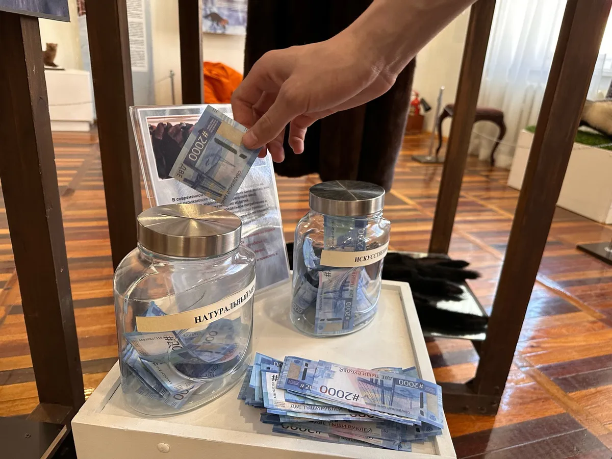 Какие меры поддержки предоставляет предпринимателям администрация города Магнитогорска