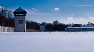 Коми стала лидером РФ по уровню преступности