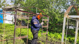 Дачники обомлели: Вмиг лишатся земли все, у кого участок в собственности - новое жесткое правило с 23 июня