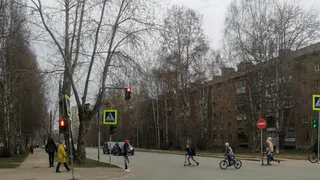 Произошла ужасная авария: грузовик сбил ребенка в поселке под Челябинском