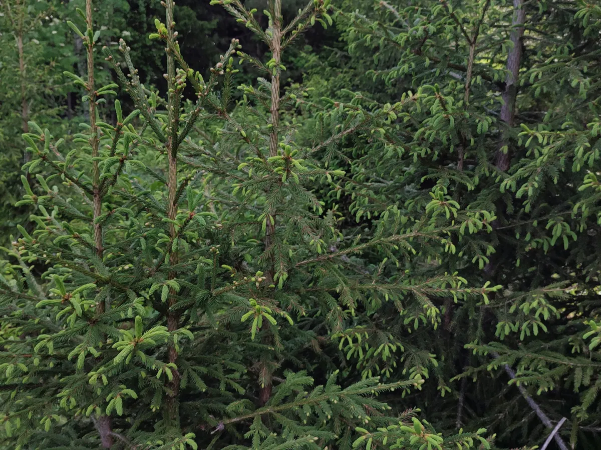 Судьба улыбнётся избранным: 9 июня 2025 года станет началом финансового прорыва