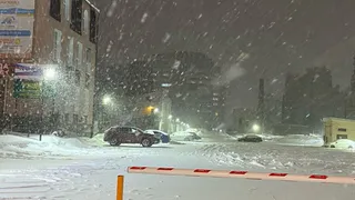 С 5 января автовладельцам — сюрприз от ГИБДД: лишат прав прямо на парковочной площадке