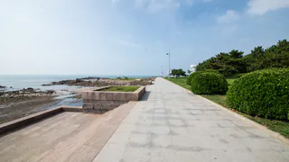 Рязанские архитекторы разработали проект реконструкции набережной реки Вожи