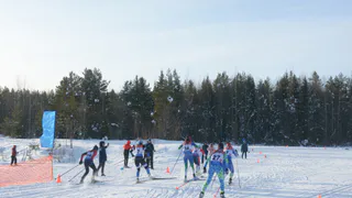 В Коми стартуют чемпионат и первенство по лыжным гонкам