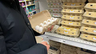 Конвейерные пустышки: в Роскачестве объявили какие марки яиц не прошли проверку