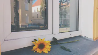 Разница между трёхкамерным и двухкамерным окном. О чём умалчивают производители, но рассказал мастер с 20-летним стажем