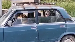 В Рязани засняли "хорошего мальчика" за рулем