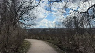 В Пензе ожидается пасмурная погода и до +13 градусов 27 марта