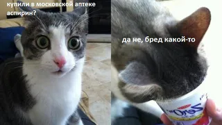 Тест: отличите существующие желтые заголовки от выдуманных