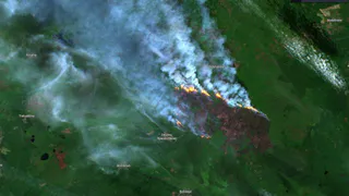 Появились фото лесных пожаров в Рязанской области со спутника