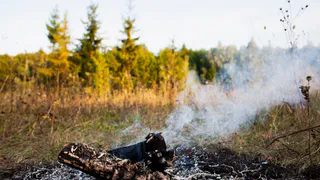 Из-за зноя в 9 районах Владимирской области введен особый противопожарный режим