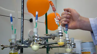 Очень солнечная поляна