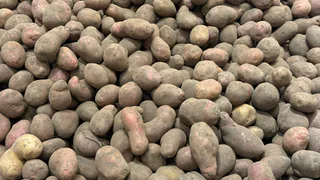 Овощи будут лежать в квартире вплоть до весны: свежие и здоровые без погреба – 4 надежных способа и таблица